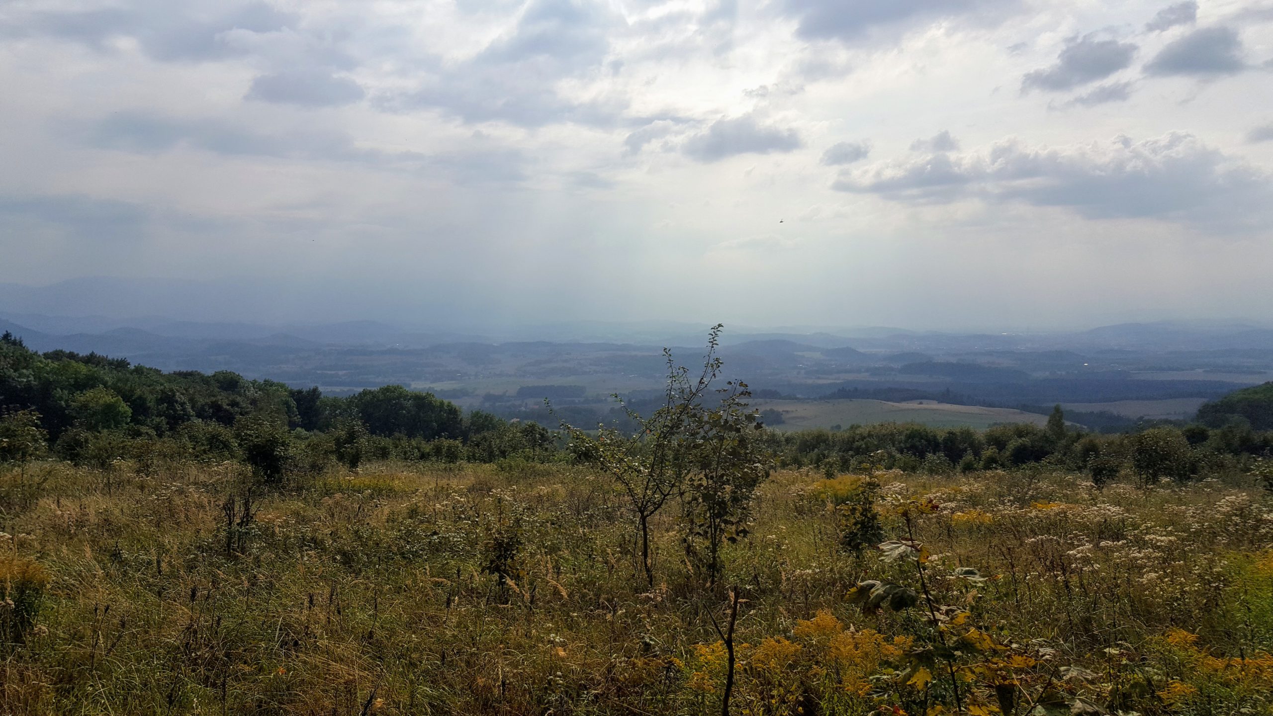 Baraniec (720 m n.p.m.)