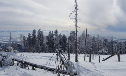 Turbacz (1 310 m n.p.m.)