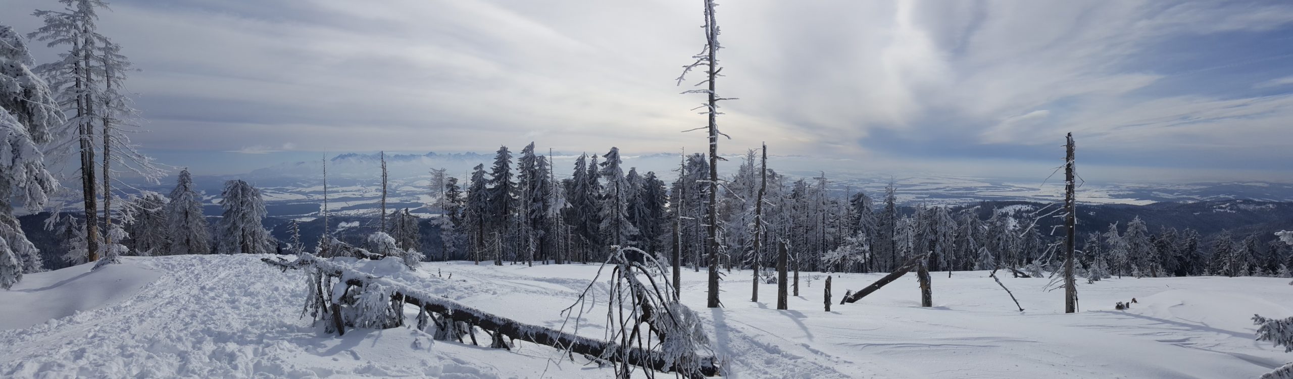 Turbacz (1 310 m n.p.m.)