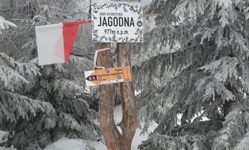 Jagodna (977 m n.p.m.)