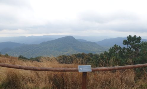 Tarnica (1 346 m n.p.m.)